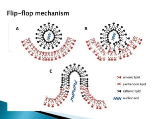 Flip-flop mechanism
 