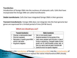 Transfection:
Introduction of foreign DNA into the nucleous of eukaryotic cells. Cells that have
incorporated the foreign DNA are called transfectants
Stable transfectants: Cells that have integrated foreign DNA in their genome
Transient transfectants: Foreign DNA does not integrate into the host genome but
genes are expressed for a limited period of time (24-96 hours)
Which one should you use?
Protofection is the transfection of foreign mitochondrial DNA into the mitochondria of
all cells in a tissue to supplement or replace the native mitochondrial DNA already
present.
 