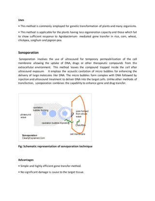 Uses
• This method is commonly employed for genetic transformation of plants and many organisms.
• This method is applicable for the plants having less regeneration capacity and those which fail
to show sufficient response to Agrobacterium- mediated gene transfer in rice, corn, wheat,
chickpea, sorghum and pigeon-pea.
Sonoporation
Sonoporation involves the use of ultrasound for temporary permeabilization of the cell
membrane allowing the uptake of DNA, drugs or other therapeutic compounds from the
extracellular environment. This method leaves the compound trapped inside the cell after
ultrasound exposure. It employs the acoustic cavitation of micro bubbles for enhancing the
delivery of large molecules like DNA. The micro bubbles form complex with DNA followed by
injection and ultrasound treatment to deliver DNA into the target cells. Unlike other methods of
transfection, sonoporation combines the capability to enhance gene and drug transfer.
Fig: Schematic representation of sonoporation technique
Advantages
• Simple and highly efficient gene transfer method.
• No significant damage is cause to the target tissue.
 