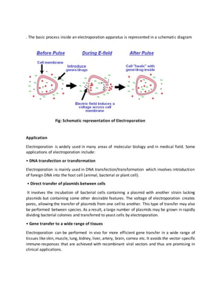 . The basic process inside an electroporation apparatus is represented in a schematic diagram
Fig: Schematic representation of Electroporation
Application
Electroporation is widely used in many areas of molecular biology and in medical field. Some
applications of electroporation include:
• DNA transfection or transformation
Electroporation is mainly used in DNA transfection/transformation which involves introduction
of foreign DNA into the host cell (animal, bacterial or plant cell).
• Direct transfer of plasmids between cells
It involves the incubation of bacterial cells containing a plasmid with another strain lacking
plasmids but containing some other desirable features. The voltage of electroporation creates
pores, allowing the transfer of plasmids from one cell to another. This type of transfer may also
be performed between species. As a result, a large number of plasmids may be grown in rapidly
dividing bacterial colonies and transferred to yeast cells by electroporation.
• Gene transfer to a wide range of tissues
Electroporation can be performed in vivo for more efficient gene transfer in a wide range of
tissues like skin, muscle, lung, kidney, liver, artery, brain, cornea etc. It avoids the vector-specific
immune-responses that are achieved with recombinant viral vectors and thus are promising in
clinical applications.
 