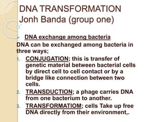 DNA TRANSFORMATION
Jonh Banda (group one)
 DNA exchange among bacteria
DNA can be exchanged among bacteria in
three ways;
1. CONJUGATION; this is transfer of
genetic material between bacterial cells
by direct cell to cell contact or by a
bridge like connection between two
cells.
2. TRANSDUCTION; a phage carries DNA
from one bacterium to another.
3. TRANSFORMATIOM; cells Take up free
DNA directly from their environment,.
 