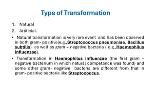Microbiology, DNA transformation in Bacteria. | PDF