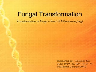 Fungal Transformation
Transformation in Fungi – Yeast & Filamentous fungi
Presented by – Abhishek Giri
M.Sc. (Part – II), SEM – IV, P - VI
R.K.Talreja College UNR-3
 