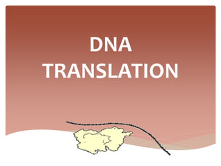 DNA
TRANSLATION
 