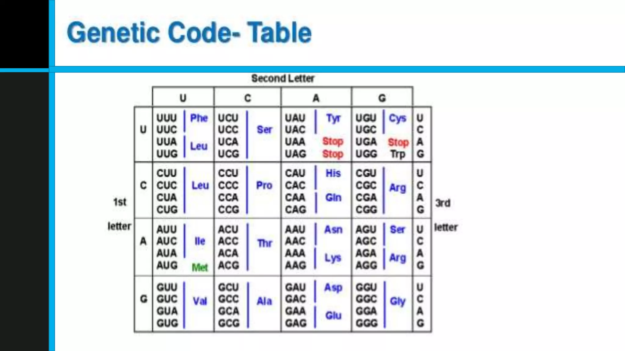 Dna translation and transcription | PPTX