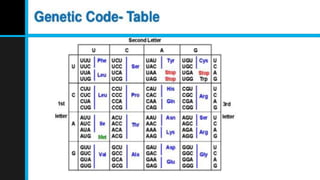 Dna translation and transcription | PPTX