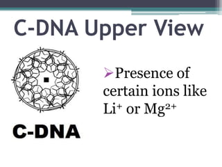 DNA Types | PPTX