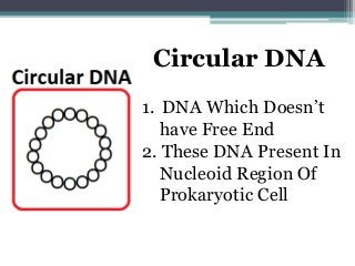 Genetic DNA
Genetic DNA Present
In Micro-nucleus &
Transfer From One
Generation To
another Generation
 