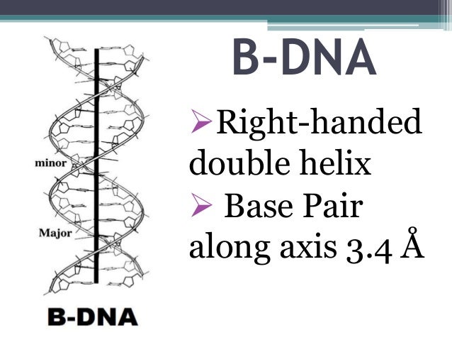 dna types