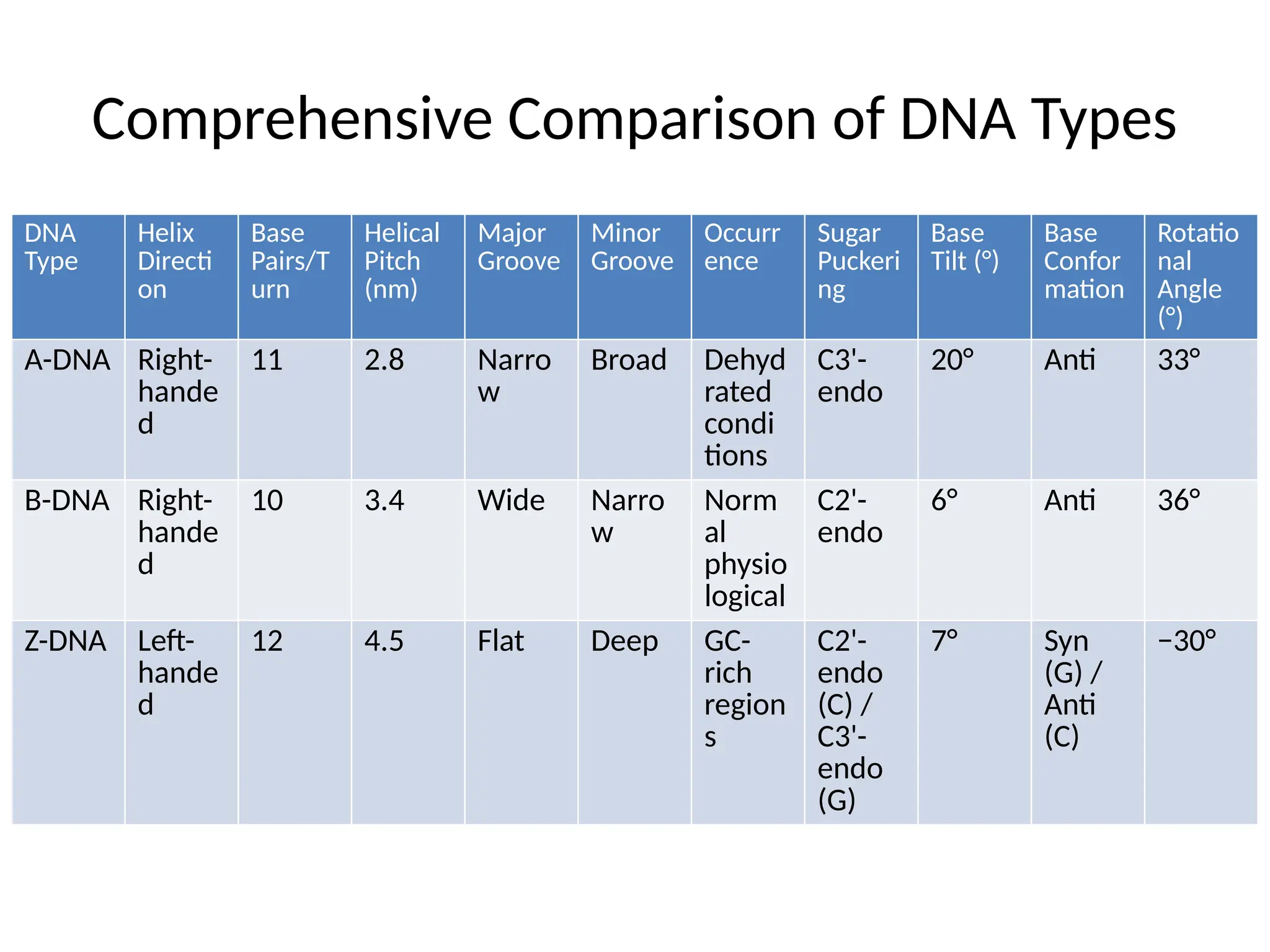 DNA_Types_Full_Comparison 11111111.pptx