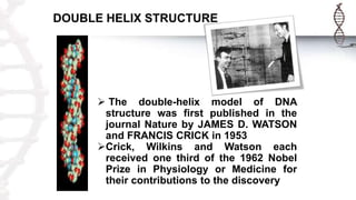 DOUBLE HELIX STRUCTURE
 The double-helix model of DNA
structure was first published in the
journal Nature by JAMES D. WATSON
and FRANCIS CRICK in 1953
Crick, Wilkins and Watson each
received one third of the 1962 Nobel
Prize in Physiology or Medicine for
their contributions to the discovery
 