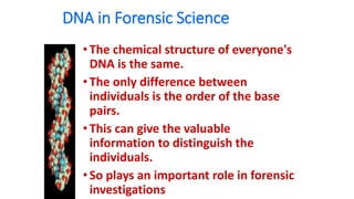 DNA in Forensic Science
•The chemical structure of everyone's
DNA is the same.
•The only difference between
individuals is the order of the base
pairs.
•This can give the valuable
information to distinguish the
individuals.
•So plays an important role in forensic
investigations
 