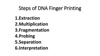 Steps of DNA Finger Printing
1.Extraction
2.Multiplication
3.Fragmentation
4.Probing
5.Separation
6.Interpretation
 