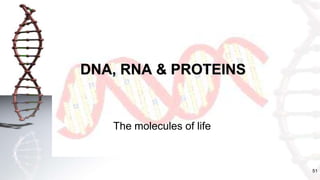 51
DNA, RNA & PROTEINS
The molecules of life
 