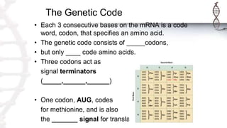 The Genetic Code
• Each 3 consecutive bases on the mRNA is a code
word, codon, that specifies an amino acid.
• The genetic code consists of _____codons,
• but only ____ code amino acids.
• Three codons act as
signal terminators
(_____,______,______)
• One codon, AUG, codes
for methionine, and is also
the _______ signal for translation.
 