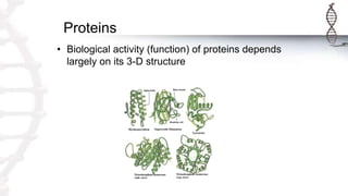 Proteins
• Biological activity (function) of proteins depends
largely on its 3-D structure
 