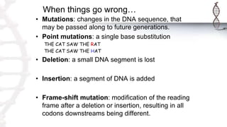 When things go wrong…
• Mutations: changes in the DNA sequence, that
may be passed along to future generations.
• Point mutations: a single base substitution
THE CAT SAW THE RAT
THE CAT SAW THE HAT
• Deletion: a small DNA segment is lost
• Insertion: a segment of DNA is added
• Frame-shift mutation: modification of the reading
frame after a deletion or insertion, resulting in all
codons downstreams being different.
 