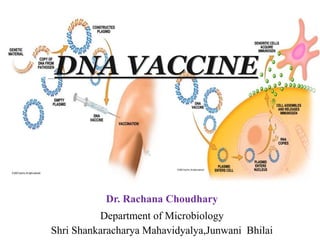 Dr. Rachana Choudhary
Department of Microbiology
Shri Shankaracharya Mahavidyalya,Junwani Bhilai
DNA VACCINE
 