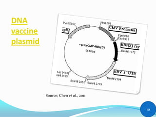 DNA
vaccine
plasmid
Source; Chen et al., 2011
10
 