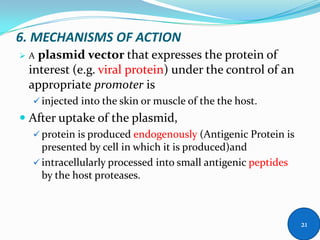 6. MECHANISMS OF ACTION
 A plasmid vector that expresses the protein of
interest (e.g. viral protein) under the control of an
appropriate promoter is
 injected into the skin or muscle of the the host.
 After uptake of the plasmid,
 protein is produced endogenously (Antigenic Protein is
presented by cell in which it is produced)and
 intracellularly processed into small antigenic peptides
by the host proteases.
21
 