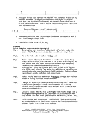 Dna vid lesson plan | DOC