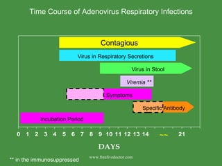 Contagious Virus in Respiratory Secretions Virus in Stool Incubation Period Time Course of Adenovirus Respiratory Infections ~~ Viremia ** ** in the immunosuppressed www.freelivedoctor.com Symptoms Specific Antibody 