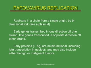 PAPOVAVIRUS REPLICATION Replicate in a circle from a single origin, by bi-directional fork (like a plasmid). Early genes transcribed in one direction off one strand: late genes transcribed in opposite direction off other strand. Early proteins (T Ag) are multifunctional, including late transcription in nucleus, and may also include either benign or malignant tumors. www.freelivedoctor.com 