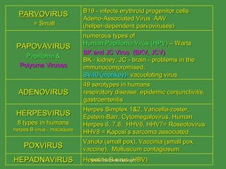 www.freelivedoctor.com PARVO VIRUS   = Small B19 - infects erythroid progenitor cells Adeno-Associated Virus  AAV  (helper-dependent parvoviruses) PAPOVAVIRUS Papilloma & Polyoma Viruses numerous types of  Human Papilloma Virus (HPV)  – Warts BK and JC Virus  (BKV, JCV) BK - kidney; JC - brain - problems in the immunocompromised; SV40 (monkey)-  vacuolating virus ADENOVIRUS 49 serotypes in humans respiratory disease, epidemic conjunctivitis, gastroenteritis HERPESVIRUS 8 types   in humans herpes B virus - macaques Herpes Simplex 1&2, Varicella-zoster, Epstein-Barr, Cytomegalovirus, Human Herpes 6, 7,8;  HHV6, HHV7= Roseolovirus HHV8 = Kaposi’s sarcoma associated POXVIRUS Variola (small pox), Vaccinia (small pox vaccine),  Molluscum contagiosum HEPADNAVIRUS Hepatitis B virus (HBV)  