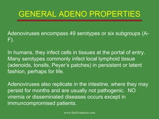Adenoviruses encompass 49 serotypes or six subgroups (A-F).  In humans, they infect cells in tissues at the portal of entry.  Many serotypes commonly infect local lymphoid tissue (adenoids, tonsils, Peyer’s patches) in persistent or latent fashion, perhaps for life.  Adenoviruses also replicate in the intestine, where they may persist for months and are usually not pathogenic.  NO viremia or disseminated diseases occurs except in immuncompromised patients. GENERAL ADENO PROPERTIES www.freelivedoctor.com 