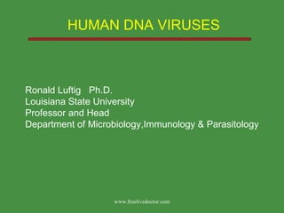 HUMAN DNA VIRUSES Ronald Luftig  Ph.D. Louisiana State University Professor and Head Department of Microbiology,Immunology & Parasitology www.freelivedoctor.com 