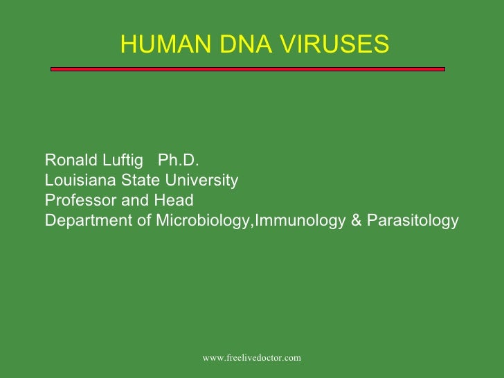 dna virus