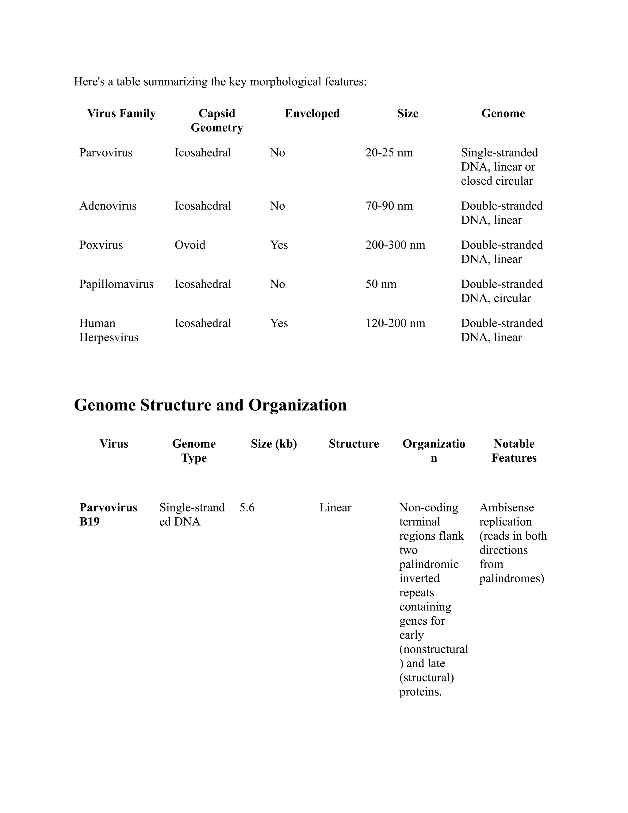 Dna Virus Comparison And Characteristics Pdf Infectious Diseases