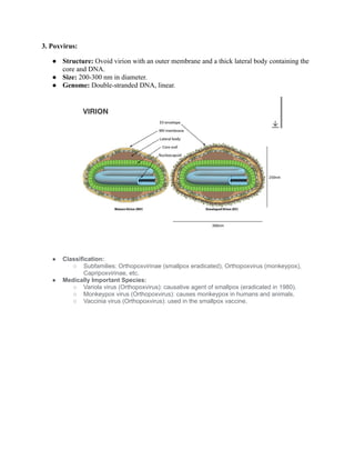 DNA Virus Comparison and Characteristics | PDF | Infectious Diseases ...