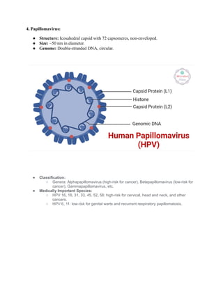 DNA Virus Comparison and Characteristics | PDF | Infectious Diseases ...