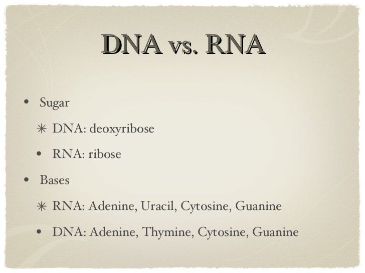 dna vs rna