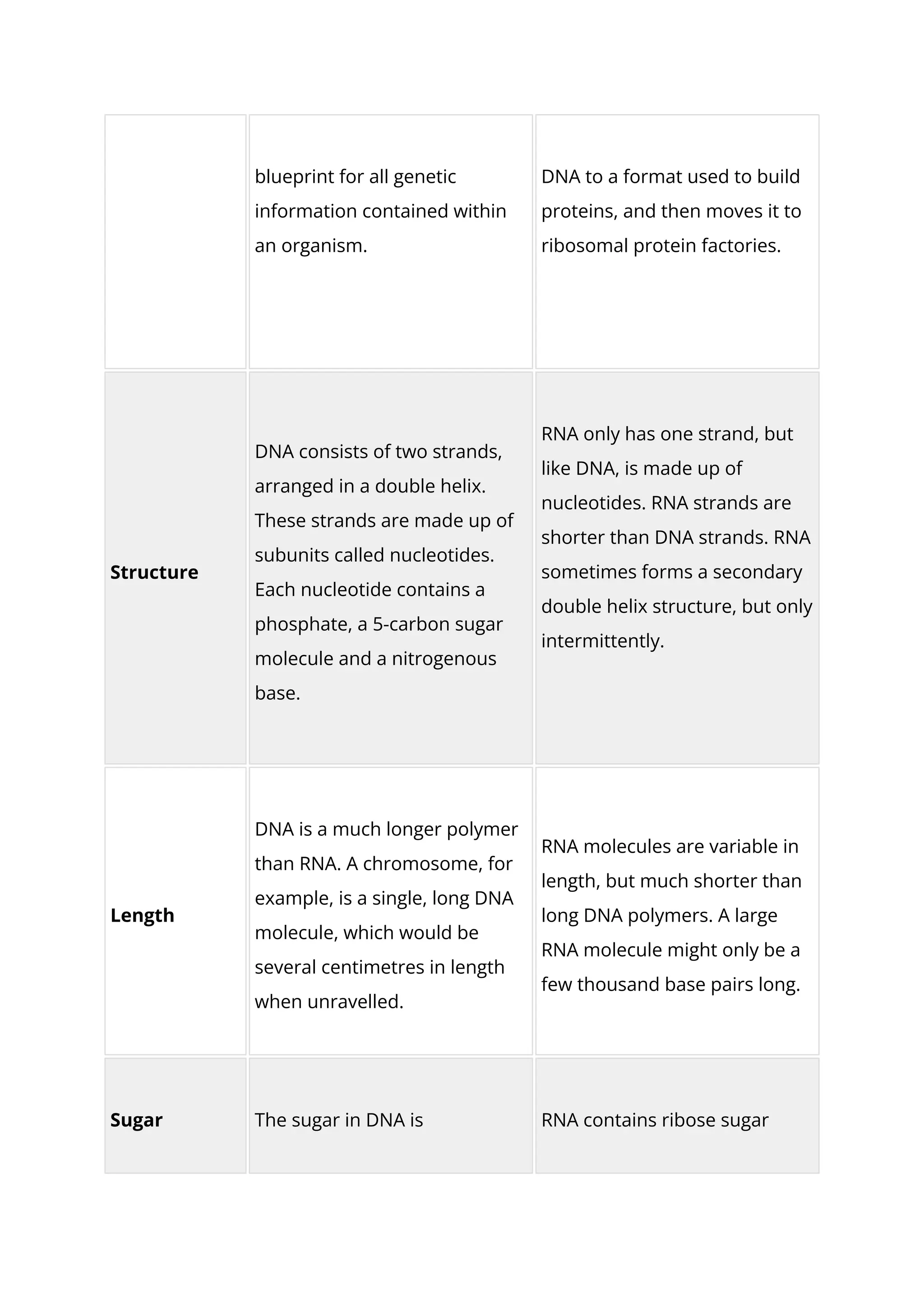 DNA vs. RNA 5 Key Differences and Comparison.pdf