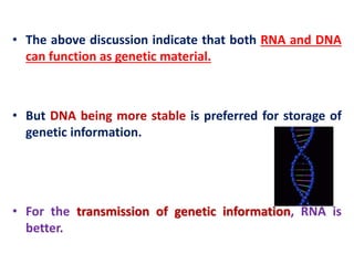 • The above discussion indicate that both RNA and DNA
can function as genetic material.
• But DNA being more stable is preferred for storage of
genetic information.
• For the transmission of genetic information, RNA is
better.
 