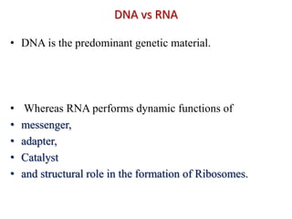 DNA vs RNA
• DNA is the predominant genetic material.
• Whereas RNA performs dynamic functions of
• messenger,
• adapter,
• Catalyst
• and structural role in the formation of Ribosomes.
 