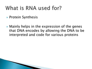  Protein Synthesis
Mainly helps in the expression of the genes
that DNA encodes by allowing the DNA to be
interpreted and code for various proteins