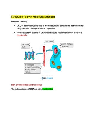 STRUCTURE OF DNA AND NUCLEOTIDES year 10.pptx