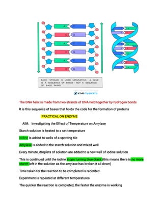 STRUCTURE OF DNA AND NUCLEOTIDES year 10.pptx