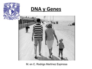 DNA y Genes




M. en C. Rodrigo Martínez Espinosa
 