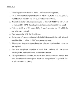 METOD 2
1. Frozen mycelia were placed in sterile 1.5 ml microcentrifugetubes,
2. 150 μl extraction buffer (0.35 M sorbitol, 0.1 M Tris, 0.005 M EDTA, pH 7.5,
0.02 M sodium bisulfite) was added, and tubes were vortexed.
3. Nuclei lysis buffer (150 μl) containing 0.2 M Tris, 0.05 M EDTA, pH 7.5, 2.0
M NaCl, and2% CTAB (hexadecyltrimethylammonium bromide) was added,
4. Followed by 60 μl of 5% sarkosyl (5 g N-lauryl sarcosine per 100 ml H2O),
and tubes were vortexed.
5. Then incubated at 65°C for 15 to 30 min.
6. One volume of chloroform:isoamyl alcohol (24:1) was added to each tube and
centrifuged for 15 min at 13,000 ´ g at room temperature.
7. The aqueous phase was removed to a new tube and the chloroform extraction
was repeated.
8. DNA was precipitated overnight at –20°C in 0.1 volumes of 3 M sodium
acetate, pH 8.0, and two volumes of cold 100% ethanol.
9. The supernatant was discarded, the pellets were washed with 70% ethanol, then
dried under vacuum centrifugation. DNA was resuspendedin TE (10 mM Tris-
HCl, 0.1 mMEDTA, pH 8.0).
 