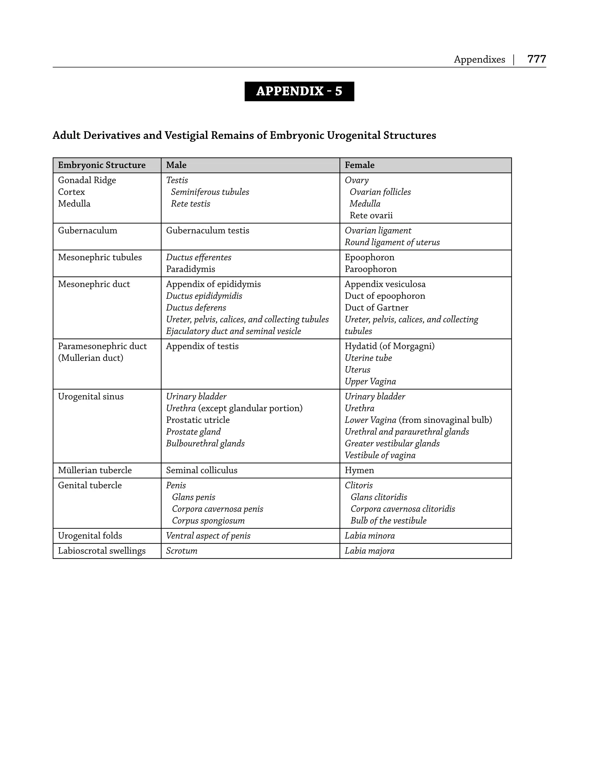 Appendixes | 777
APPENDIX  5
Adult Derivatives and Vestigial Remains of Embryonic Urogenital Structures
Embryonic Structure Male Female
Gonadal Ridge
Cortex
Medulla
Testis
Seminiferous tubules
Rete testis
Ovary
Ovarian follicles
Medulla
Rete ovarii
Gubernaculum Gubernaculum testis Ovarian ligament
Round ligament of uterus
Mesonephric tubules Ductus eﬀerentes
Paradidymis
Epoophoron
Paroophoron
Mesonephric duct Appendix of epididymis
Ductus epididymidis
Ductus deferens
Ureter, pelvis, calices, and collecting tubules
Ejaculatory duct and seminal vesicle
Appendix vesiculosa
Duct of epoophoron
Duct of Gartner
Ureter, pelvis, calices, and collecting
tubules
Paramesonephric duct
(Mullerian duct)
Appendix of testis Hydatid (of Morgagni)
Uterine tube
Uterus
Upper Vagina
Urogenital sinus Urinary bladder
Urethra (except glandular portion)
Prostatic utricle
Prostate gland
Bulbourethral glands
Urinary bladder
Urethra
Lower Vagina (from sinovaginal bulb)
Urethral and paraurethral glands
Greater vestibular glands
Vestibule of vagina
Müllerian tubercle Seminal colliculus Hymen
Genital tubercle Penis
Glans penis
Corpora cavernosa penis
Corpus spongiosum
Clitoris
Glans clitoridis
Corpora cavernosa clitoridis
Bulb of the vestibule
Urogenital folds Ventral aspect of penis Labia minora
Labioscrotal swellings Scrotum Labia majora
 