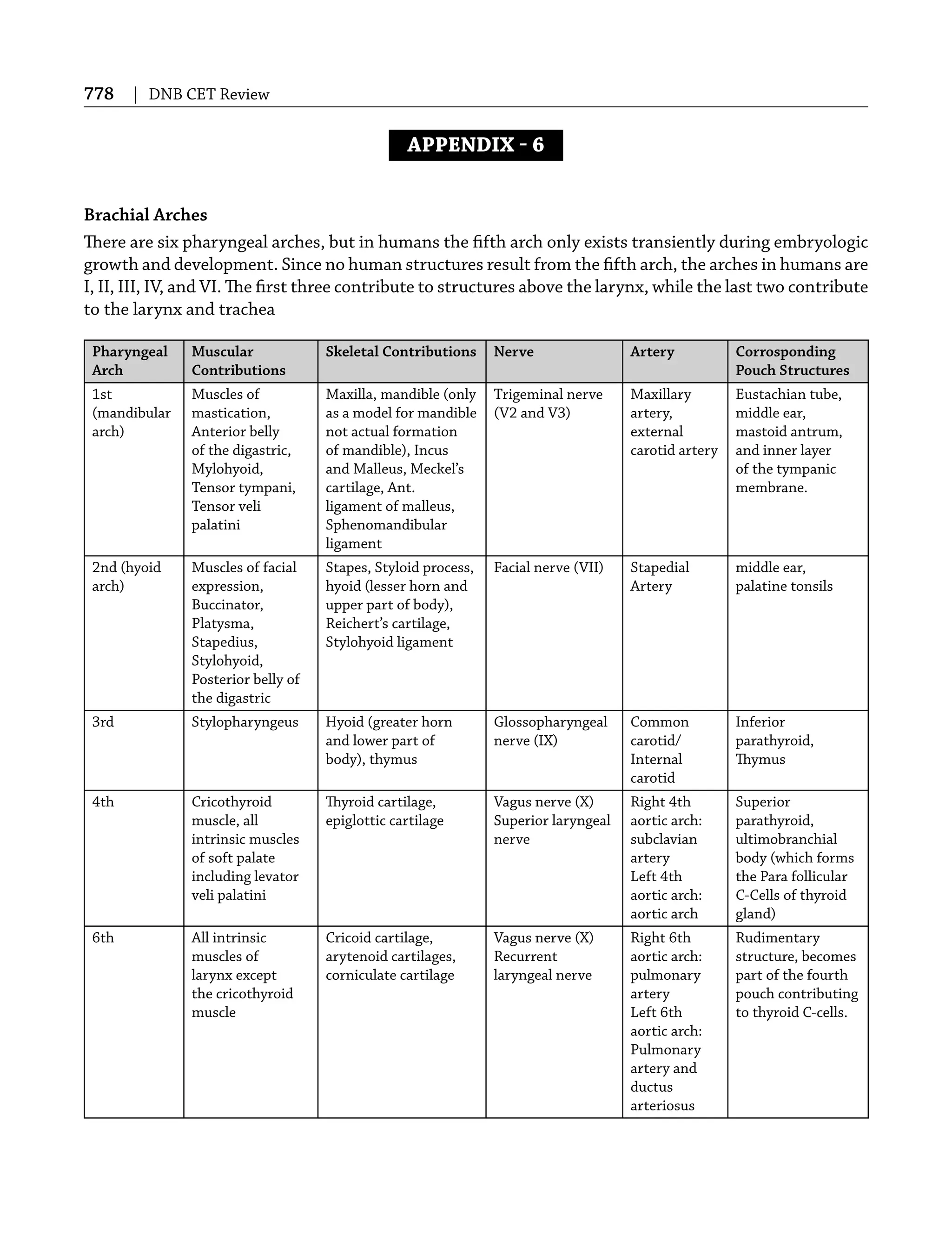 778 | DNB CET Review
APPENDIX  6
Brachial Arches
There are six pharyngeal arches, but in humans the ﬁfth arch only exists transiently during embryologic
growth and development. Since no human structures result from the ﬁfth arch, the arches in humans are
I, II, III, IV, and VI. The ﬁrst three contribute to structures above the larynx, while the last two contribute
to the larynx and trachea
Pharyngeal
Arch
Muscular
Contributions
Skeletal Contributions Nerve Artery Corrosponding
Pouch Structures
1st
(mandibular
arch)
Muscles of
mastication,
Anterior belly
of the digastric,
Mylohyoid,
Tensor tympani,
Tensor veli
palatini
Maxilla, mandible (only
as a model for mandible
not actual formation
of mandible), Incus
and Malleus, Meckel’s
cartilage, Ant.
ligament of malleus,
Sphenomandibular
ligament
Trigeminal nerve
(V2 and V3)
Maxillary
artery,
external
carotid artery
Eustachian tube,
middle ear,
mastoid antrum,
and inner layer
of the tympanic
membrane.
2nd (hyoid
arch)
Muscles of facial
expression,
Buccinator,
Platysma,
Stapedius,
Stylohyoid,
Posterior belly of
the digastric
Stapes, Styloid process,
hyoid (lesser horn and
upper part of body),
Reichert’s cartilage,
Stylohyoid ligament
Facial nerve (VII) Stapedial
Artery
middle ear,
palatine tonsils
3rd Stylopharyngeus Hyoid (greater horn
and lower part of
body), thymus
Glossopharyngeal
nerve (IX)
Common
carotid/
Internal
carotid
Inferior
parathyroid,
Thymus
4th Cricothyroid
muscle, all
intrinsic muscles
of soft palate
including levator
veli palatini
Thyroid cartilage,
epiglottic cartilage
Vagus nerve (X)
Superior laryngeal
nerve
Right 4th
aortic arch:
subclavian
artery
Left 4th
aortic arch:
aortic arch
Superior
parathyroid,
ultimobranchial
body (which forms
the Para follicular
C-Cells of thyroid
gland)
6th All intrinsic
muscles of
larynx except
the cricothyroid
muscle
Cricoid cartilage,
arytenoid cartilages,
corniculate cartilage
Vagus nerve (X)
Recurrent
laryngeal nerve
Right 6th
aortic arch:
pulmonary
artery
Left 6th
aortic arch:
Pulmonary
artery and
ductus
arteriosus
Rudimentary
structure, becomes
part of the fourth
pouch contributing
to thyroid C-cells.
 