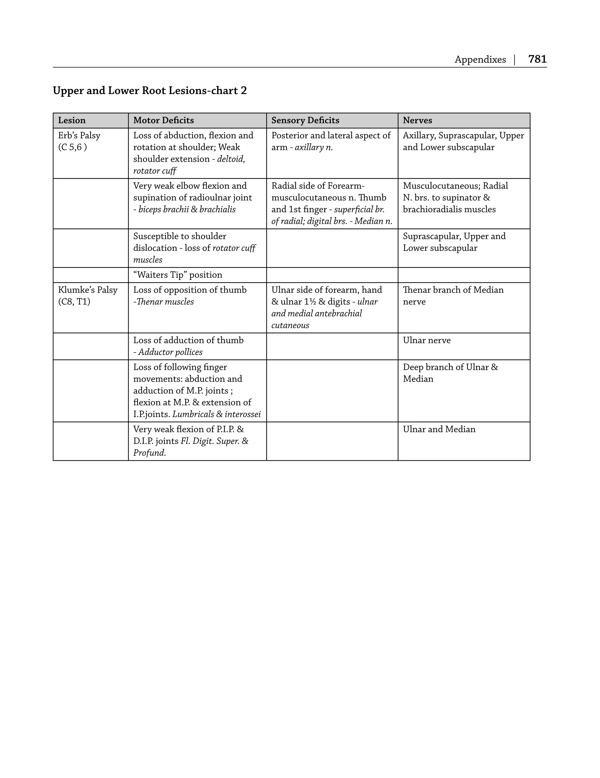 Appendixes | 781
Upper and Lower Root Lesions-chart 2
Lesion Motor Deﬁcits Sensory Deﬁcits Nerves
Erb’s Palsy
(C 5,6 )
Loss of abduction, ﬂexion and
rotation at shoulder; Weak
shoulder extension - deltoid,
rotator cuﬀ
Posterior and lateral aspect of
arm - axillary n.
Axillary, Suprascapular, Upper
and Lower subscapular
Very weak elbow ﬂexion and
supination of radioulnar joint
- biceps brachii & brachialis
Radial side of Forearm-
musculocutaneous n. Thumb
and 1st ﬁnger - superﬁcial br.
of radial; digital brs. - Median n.
Musculocutaneous; Radial
N. brs. to supinator &
brachioradialis muscles
Susceptible to shoulder
dislocation - loss of rotator cuﬀ
muscles
Suprascapular, Upper and
Lower subscapular
“Waiters Tip” position
Klumke’s Palsy
(C8, T1)
Loss of opposition of thumb
-Thenar muscles
Ulnar side of forearm, hand
& ulnar 1½ & digits - ulnar
and medial antebrachial
cutaneous
Thenar branch of Median
nerve
Loss of adduction of thumb
- Adductor pollices
Ulnar nerve
Loss of following ﬁnger
movements: abduction and
adduction of M.P. joints ;
ﬂexion at M.P. & extension of
I.P.joints. Lumbricals & interossei
Deep branch of Ulnar &
Median
Very weak ﬂexion of P.I.P. &
D.I.P. joints Fl. Digit. Super. &
Profund.
Ulnar and Median
 