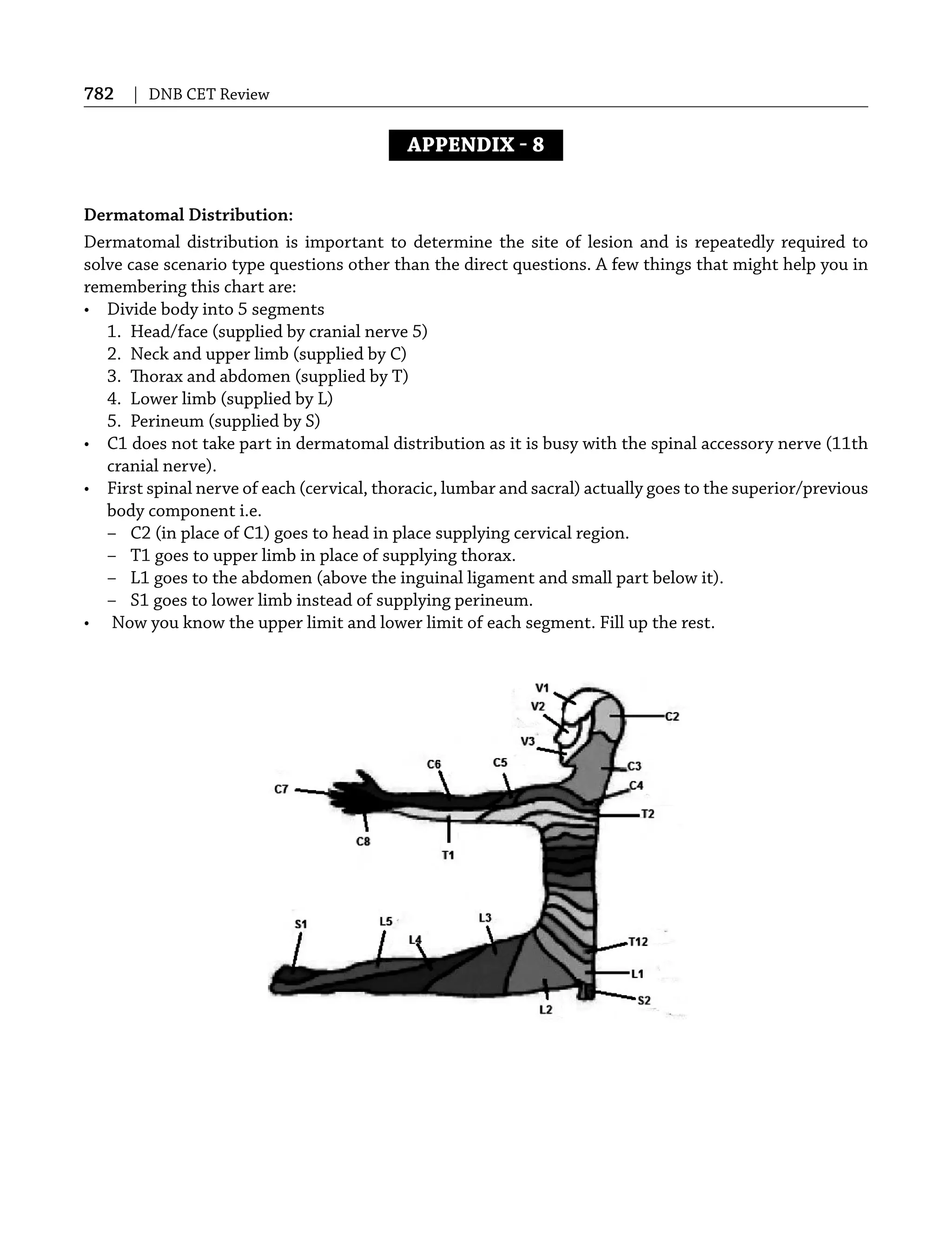 782 | DNB CET Review
APPENDIX  8
Dermatomal Distribution:
Dermatomal distribution is important to determine the site of lesion and is repeatedly required to
solve case scenario type questions other than the direct questions. A few things that might help you in
remembering this chart are:
• Divide body into 5 segments
1. Head/face (supplied by cranial nerve 5)
2. Neck and upper limb (supplied by C)
3. Thorax and abdomen (supplied by T)
4. Lower limb (supplied by L)
5. Perineum (supplied by S)
• C1 does not take part in dermatomal distribution as it is busy with the spinal accessory nerve (11th
cranial nerve).
• First spinal nerve of each (cervical, thoracic, lumbar and sacral) actually goes to the superior/previous
body component i.e.
– C2 (in place of C1) goes to head in place supplying cervical region.
– T1 goes to upper limb in place of supplying thorax.
– L1 goes to the abdomen (above the inguinal ligament and small part below it).
– S1 goes to lower limb instead of supplying perineum.
• Now you know the upper limit and lower limit of each segment. Fill up the rest.
 