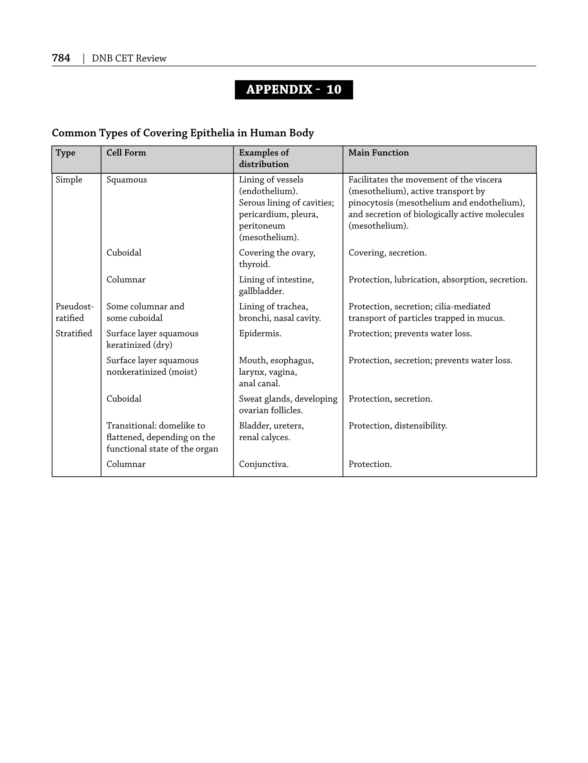 784 | DNB CET Review
APPENDIX  10
Common Types of Covering Epithelia in Human Body
Type Cell Form Examples of Main Function
distribution
Simple Squamous Lining of vessels Facilitates the movement of the viscera
(endothelium). (mesothelium), active transport by
Serous lining of cavities; pinocytosis (mesothelium and endothelium),
pericardium, pleura, and secretion of biologically active molecules
peritoneum (mesothelium).
(mesothelium).
Cuboidal Covering the ovary, Covering, secretion.
thyroid.
Columnar Lining of intestine, Protection, lubrication, absorption, secretion.
gallbladder.
Pseudost- Some columnar and Lining of trachea, Protection, secretion; cilia-mediated
ratiﬁed some cuboidal bronchi, nasal cavity. transport of particles trapped in mucus.
Stratiﬁed Surface layer squamous Epidermis. Protection; prevents water loss.
keratinized (dry)
Surface layer squamous Mouth, esophagus, Protection, secretion; prevents water loss.
nonkeratinized (moist) larynx, vagina,
anal canal.
Cuboidal Sweat glands, developing Protection, secretion.
ovarian follicles.
Transitional: domelike to Bladder, ureters, Protection, distensibility.
ﬂattened, depending on the renal calyces.
functional state of the organ
Columnar Conjunctiva. Protection.
 