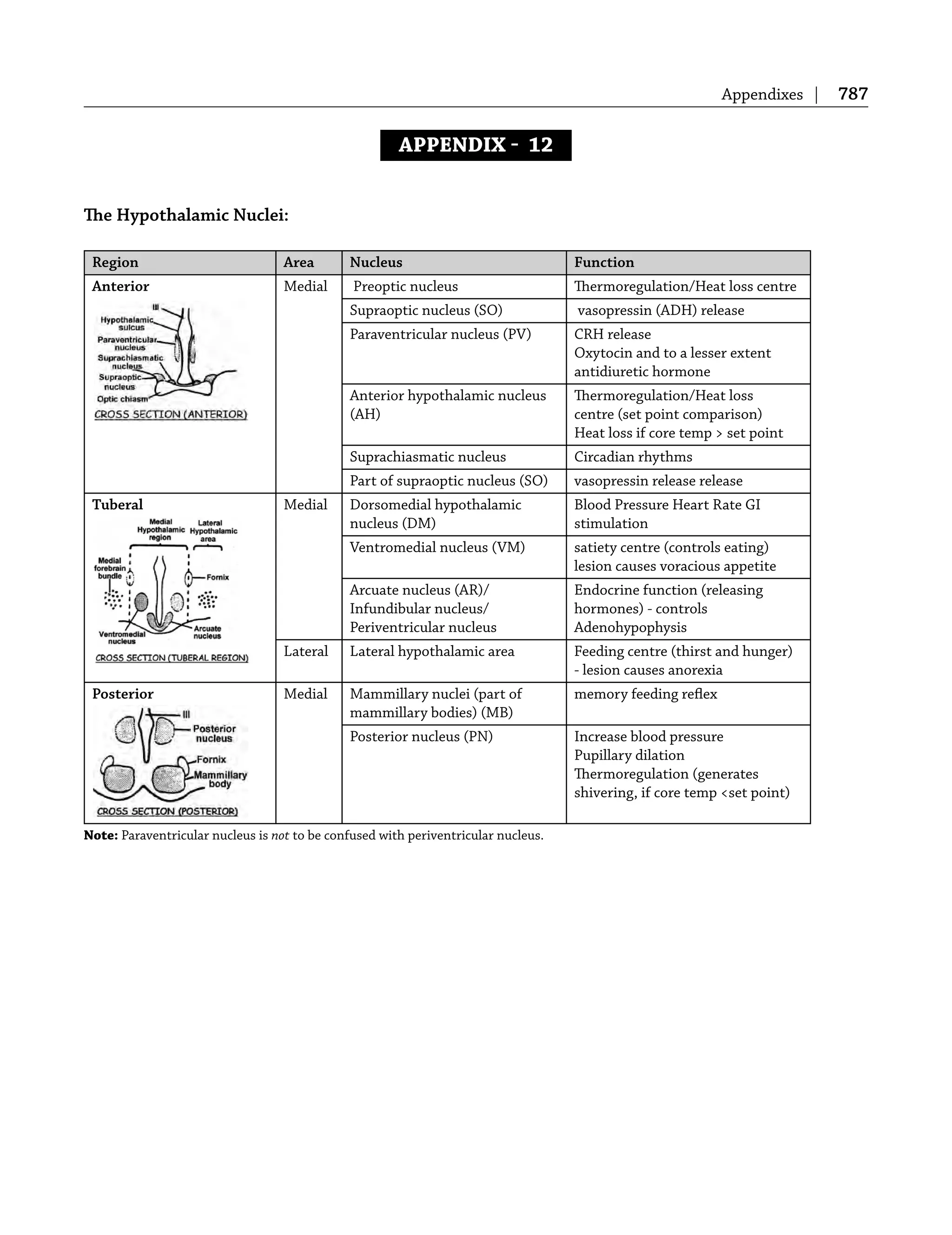 Appendixes | 787
APPENDIX  12
The Hypothalamic Nuclei:
Region Area Nucleus Function
Anterior Medial Preoptic nucleus Thermoregulation/Heat loss centre
Supraoptic nucleus (SO) vasopressin (ADH) release
Paraventricular nucleus (PV) CRH release
Oxytocin and to a lesser extent
antidiuretic hormone
Anterior hypothalamic nucleus
(AH)
Thermoregulation/Heat loss
centre (set point comparison)
Heat loss if core temp > set point
Suprachiasmatic nucleus Circadian rhythms
Part of supraoptic nucleus (SO) vasopressin release release
Tuberal Medial Dorsomedial hypothalamic
nucleus (DM)
Blood Pressure Heart Rate GI
stimulation
Ventromedial nucleus (VM) satiety centre (controls eating)
lesion causes voracious appetite
Arcuate nucleus (AR)/
Infundibular nucleus/
Periventricular nucleus
Endocrine function (releasing
hormones) - controls
Adenohypophysis
Lateral Lateral hypothalamic area Feeding centre (thirst and hunger)
- lesion causes anorexia
Posterior Medial Mammillary nuclei (part of
mammillary bodies) (MB)
memory feeding reﬂex
Posterior nucleus (PN) Increase blood pressure
Pupillary dilation
Thermoregulation (generates
shivering, if core temp <set point)
Note: Paraventricular nucleus is not to be confused with periventricular nucleus.
 