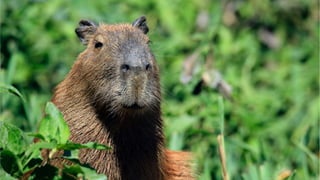 The Dungeons & Dragons Guide to Marketing